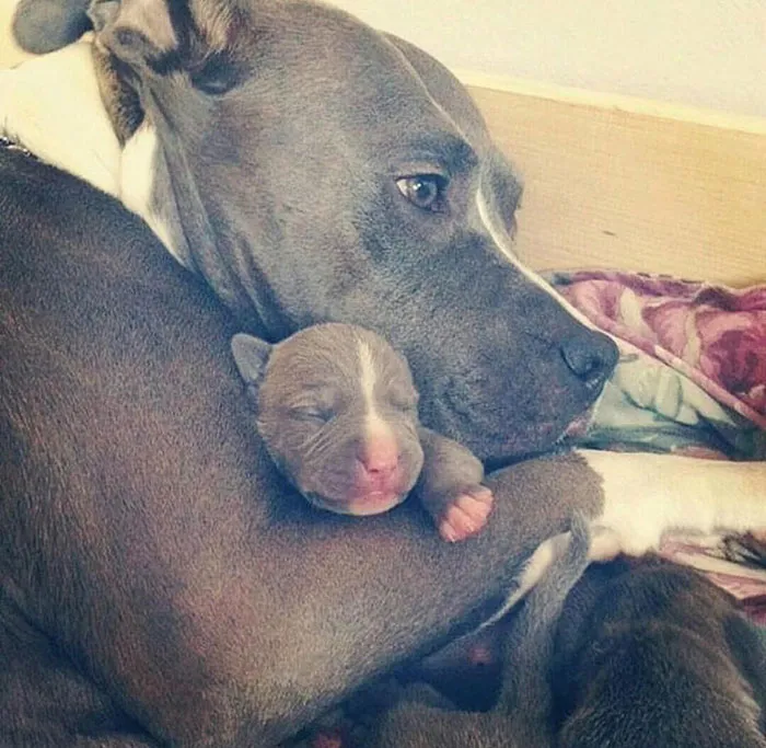 Mother And Daughter