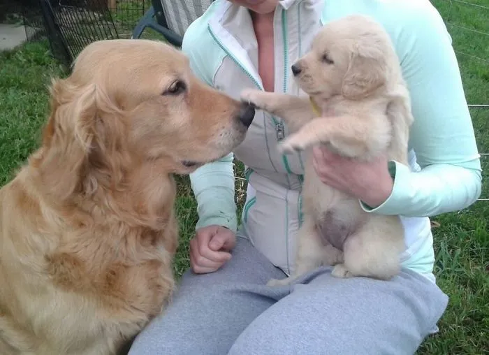 Lil Boop