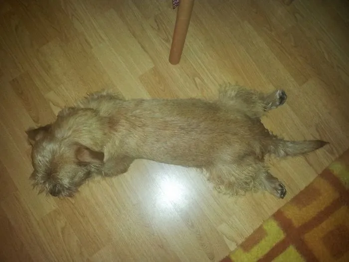 Paddington And The Evening Yoga