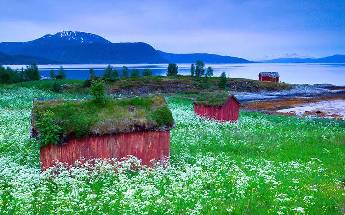 Old Village