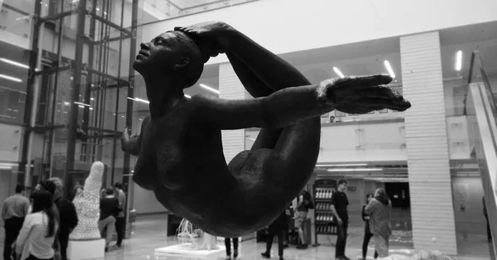 Accomplishment: Artist Installs Floating Sculpture In National Library Of Romania