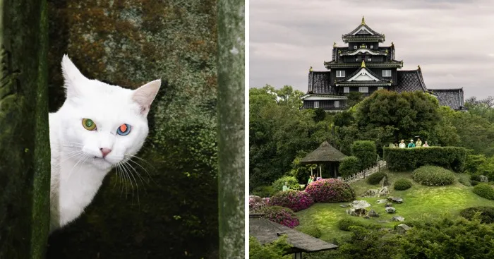 13 Curiosities I Photographed On A Two-week Trip To Japan