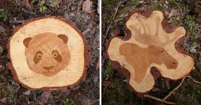 Deforestation Faces: I Show That We Kill Animals When We Destroy Forests