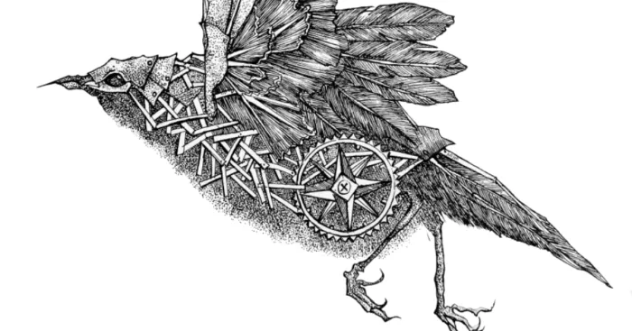My Mechanical Birds Drawn With Ink