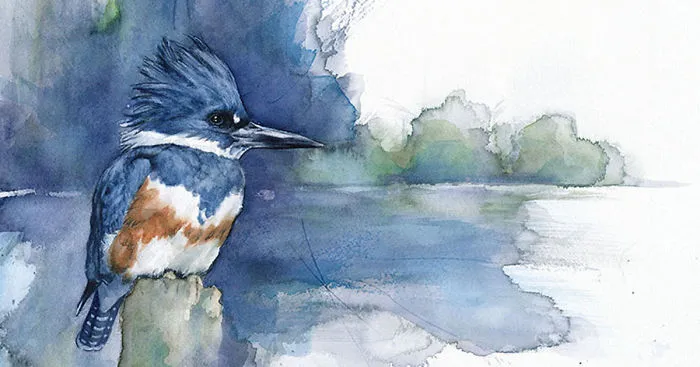 When I'm Not Working As A Biologist, I Paint Watercolor Birds