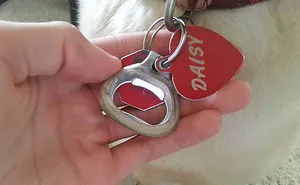 44 Hilarious Collar Tags For Pets Who Tend To Get Lost