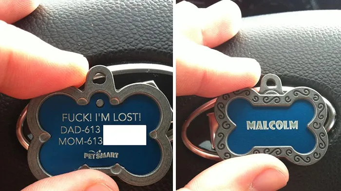 It Was Time For A New Tag For His Collar