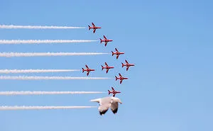 144 Perfectly Timed Pics That Will Make You Look Twice