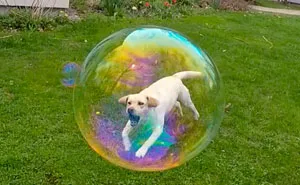 144 Perfectly Timed Pics That Will Make You Look Twice