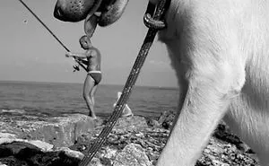 43 Perfectly Timed Photos That Turn Dogs Into Giants