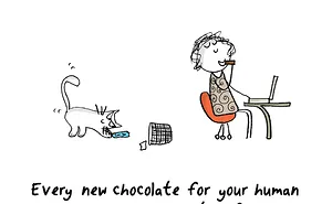 How To Be A Cat (97 pics)