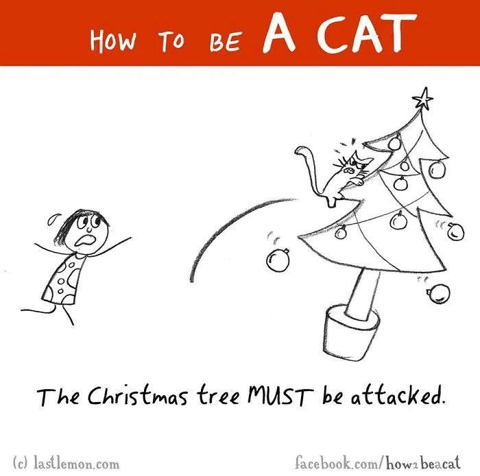 How To Be A Cat (97 pics)