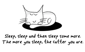 How To Be A Cat (97 pics)