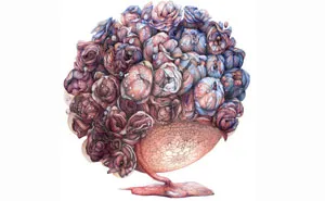Inner Bits: I Combine Human Organs With Flowers And Butterflies