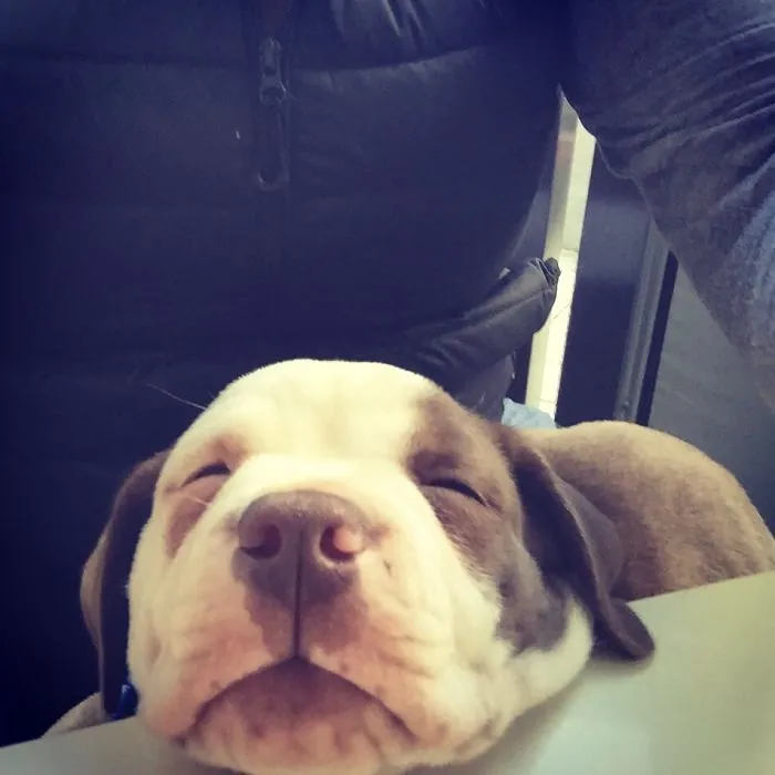 Mcbeans Is Mctired