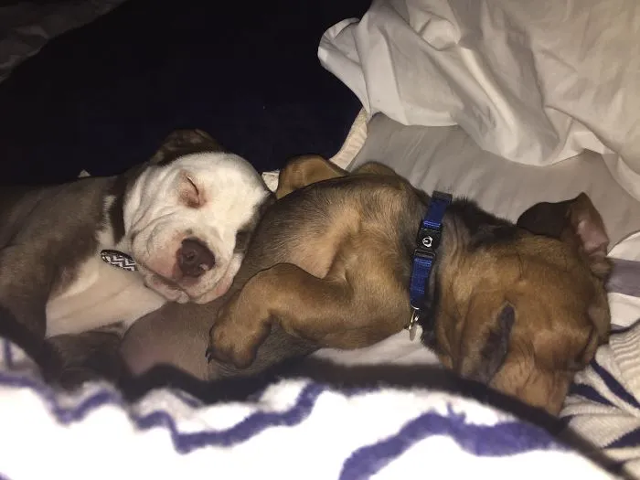 Brotherly Love