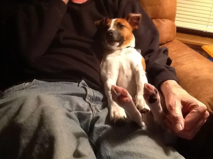 In Daddy Arms