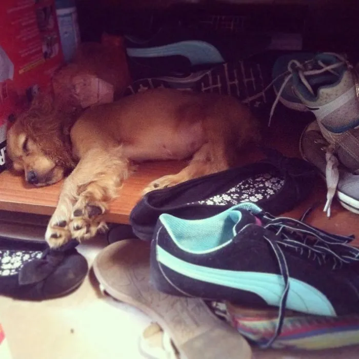 I Need A New Place For My Shoes