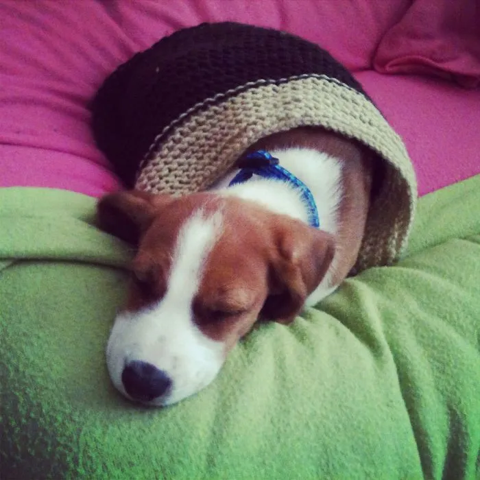 Sleeping Nugget