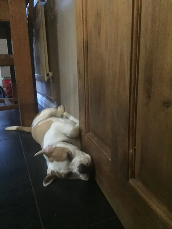 Life Is Just Soooo Exhausting!