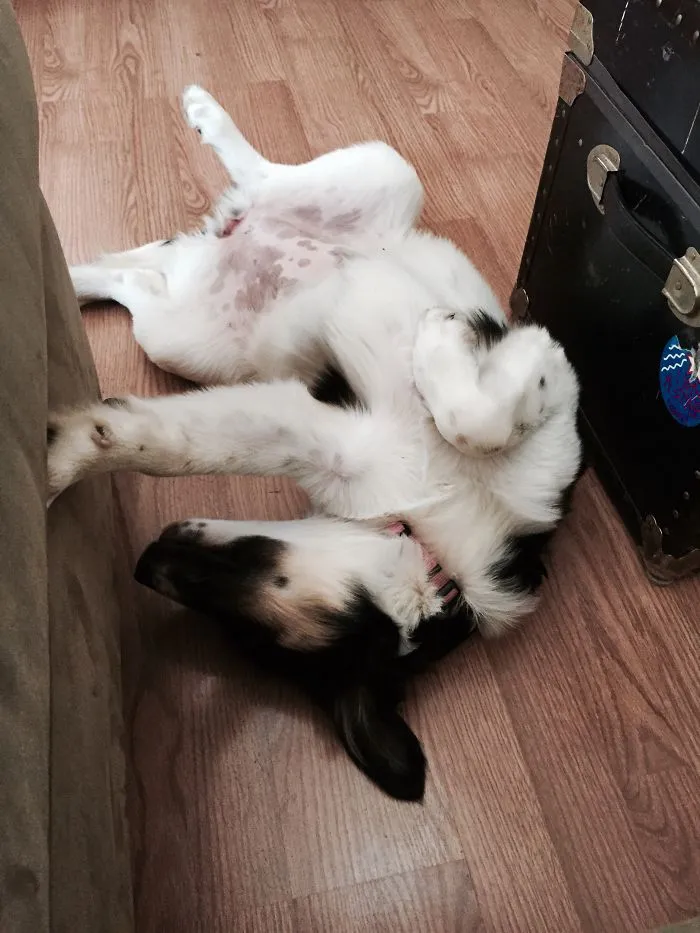 Hallie Can't Even Right Now.