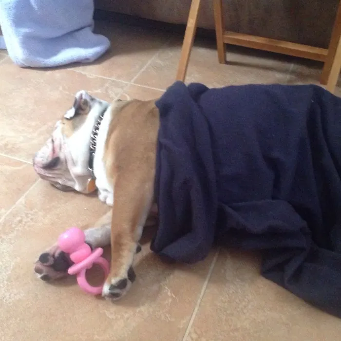 Nap Time