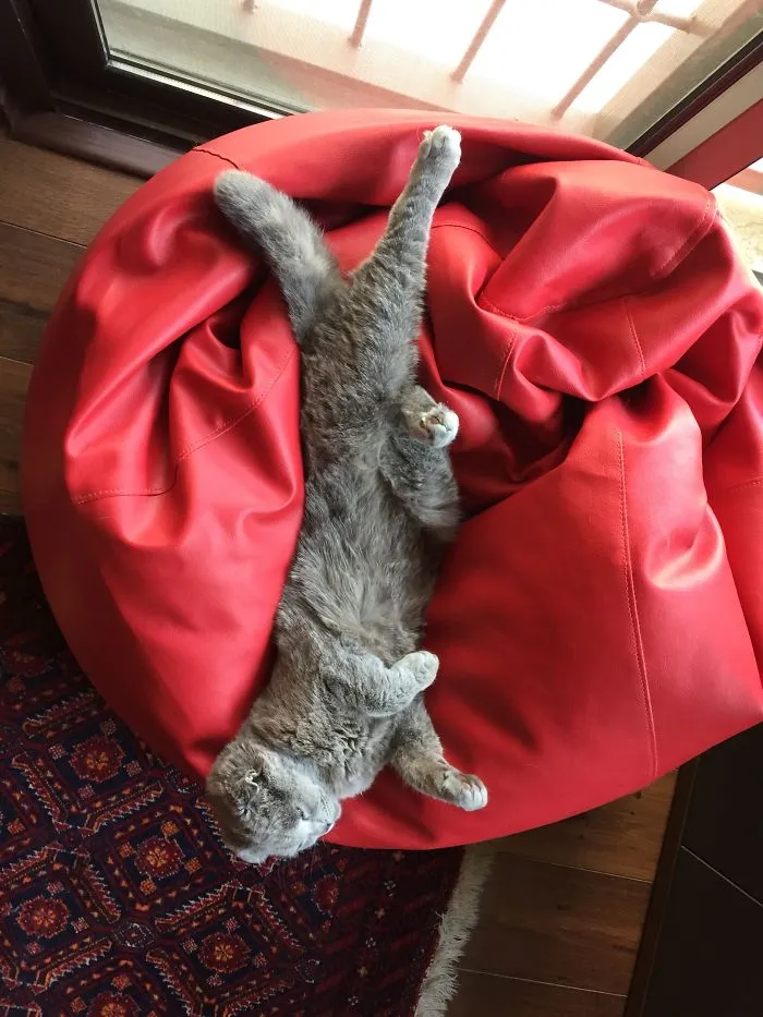 Grey On The Pouf