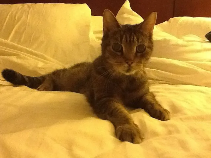Rumsfeld. Adopted At 10, Lived To 21.