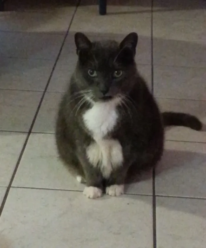 This Is Brett. He Came To Us When He Was 5, Now He Is 16.