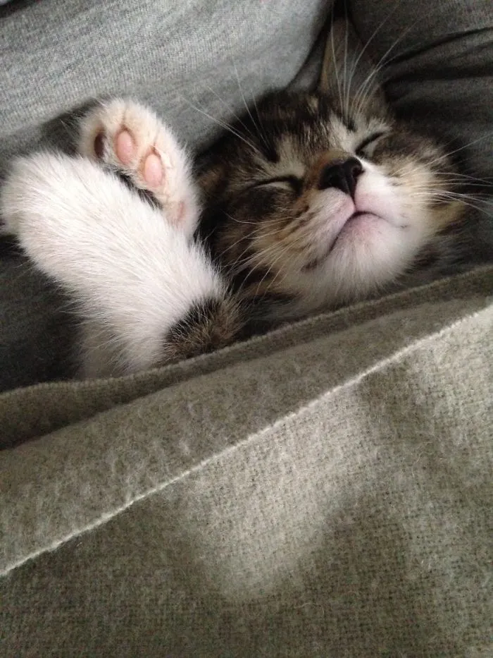 It's Coooold!