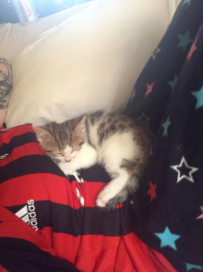 I'm Not Allowed Get Up For A While