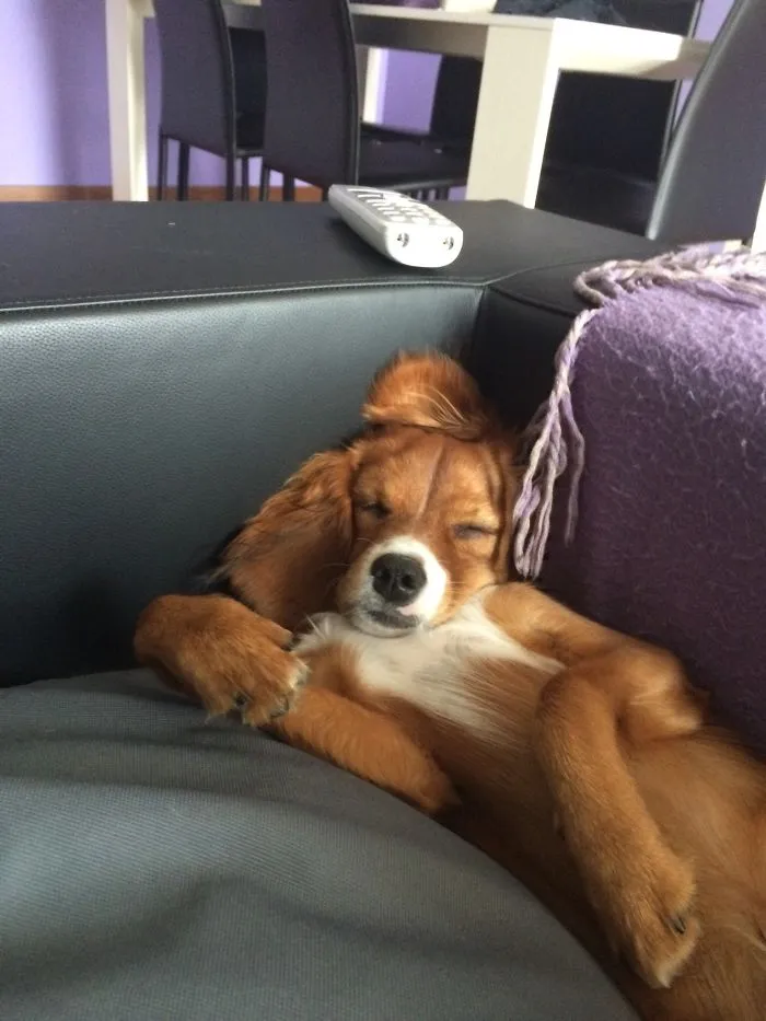 Relax...