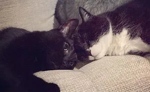 Tough Day
