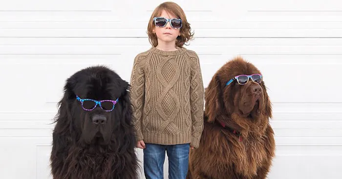 Mom Documents The Friendship Between A Boy, His Two Giant Dogs & A Horse