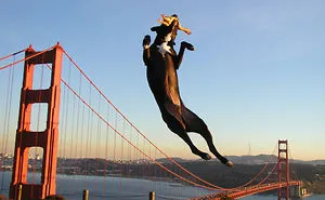 43 Perfectly Timed Photos That Turn Dogs Into Giants