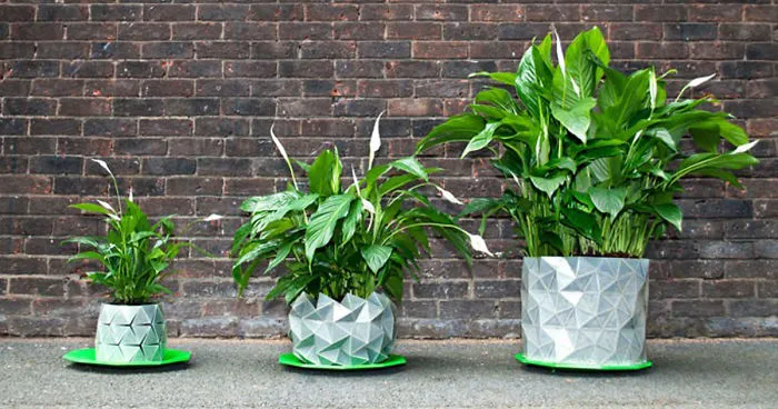 Shape-Shifting 'Origami' Pots That Grow Together With Your Plants