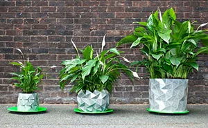 Shape-Shifting 'Origami' Pots That Grow Together With Your Plants