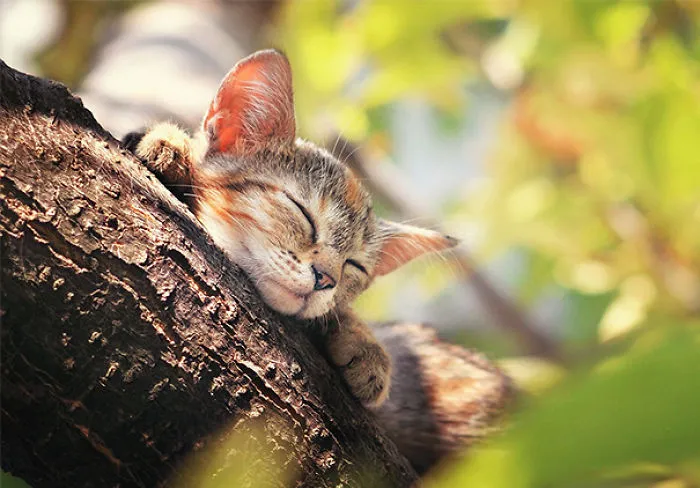 Peaceful Day