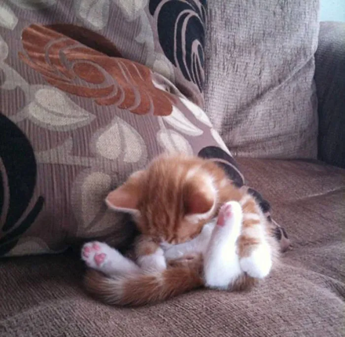 Best Sleeping Pose Ever