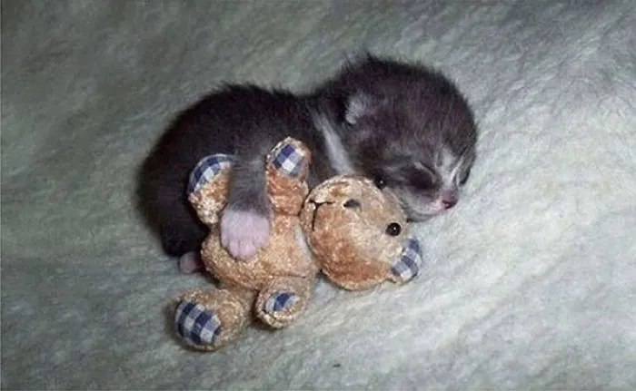 Sleeping With A Friend
