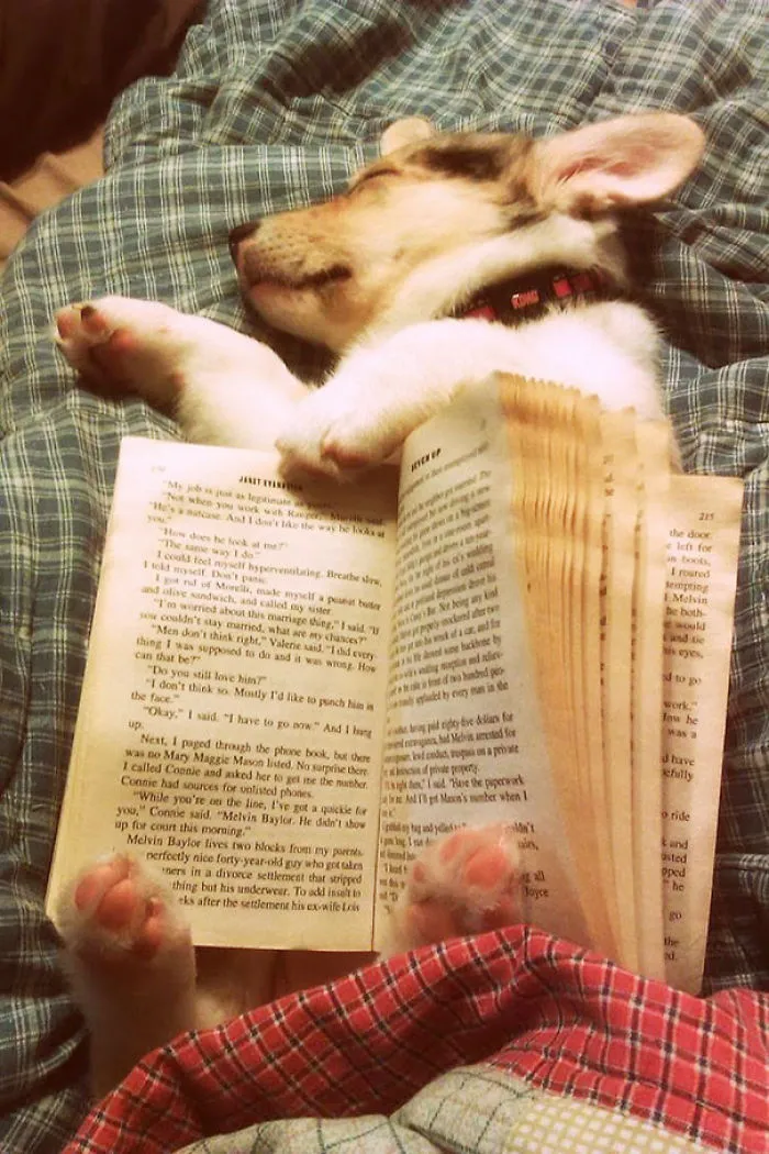 They Can Sleep Anywhere