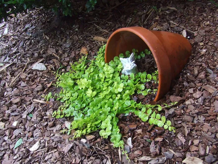 15 Spilled Flower Pots That Turn Your Flowers Into Streams Of Paint