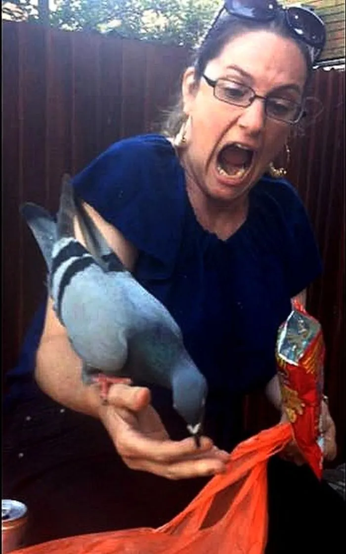 Bite The Hand That....