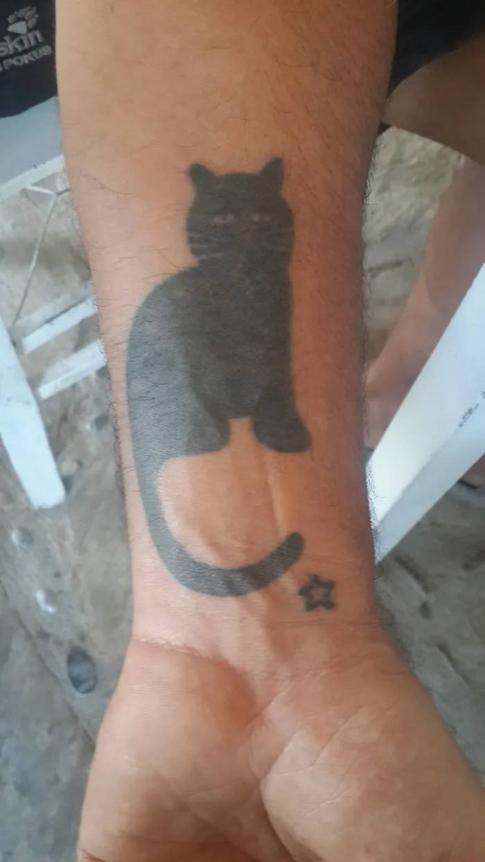 Simple cat tattoo design on forearm, featuring a minimalist cat silhouette and small star.