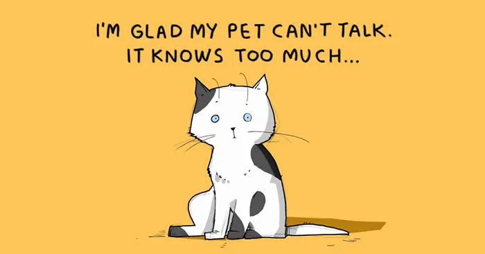 15 Illustrated Truths About Cats