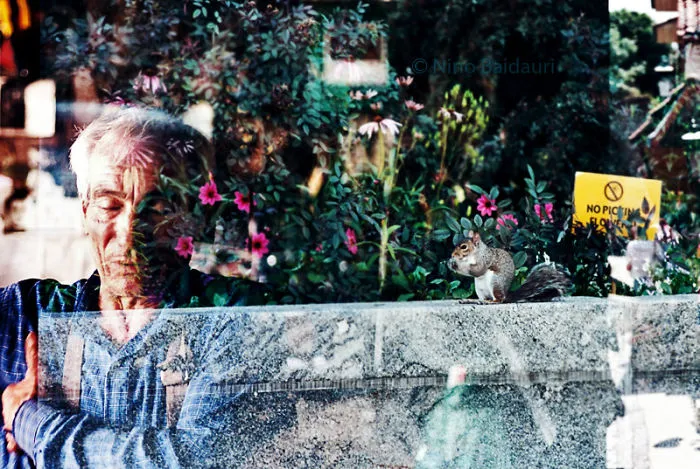 Parallel Worlds Vol.1