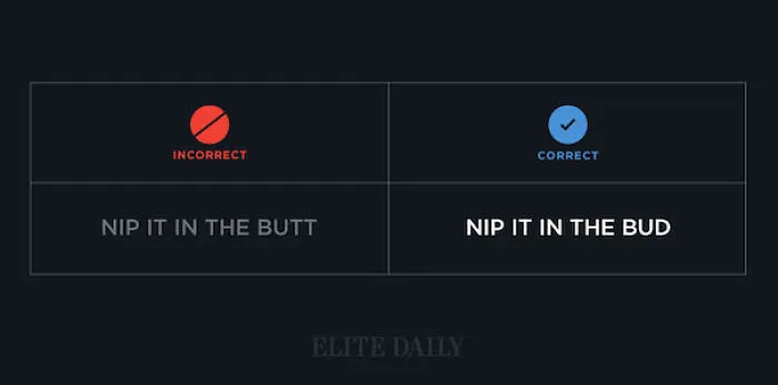 Nip It In The Bud