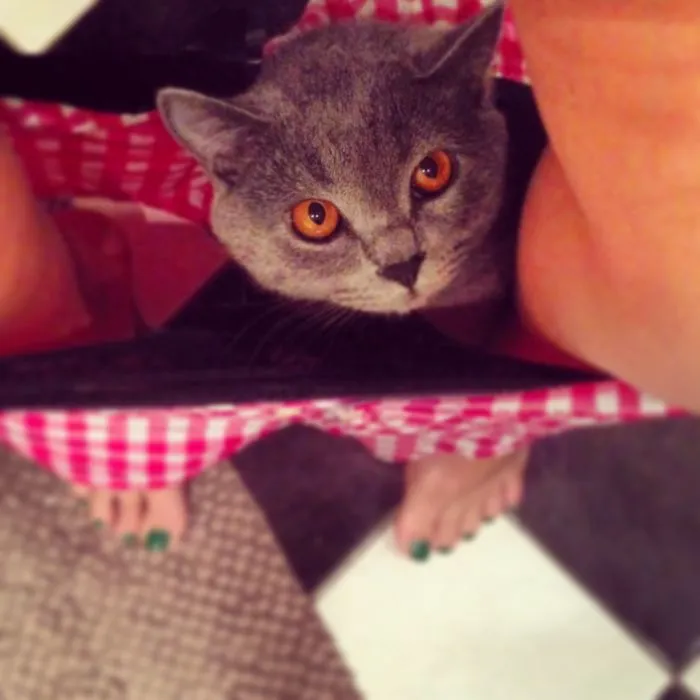 Hellooooo..... I See You.....