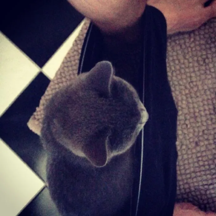 I'll Protect You!