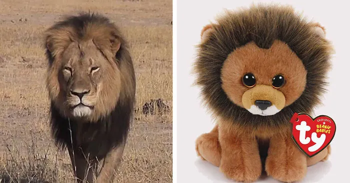 Cecil The Lion Will Live Forever As “Beanie Baby” With 100% Of Profits Going To Wildlife Conservation